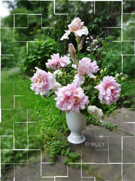 © - 01 - Floristica