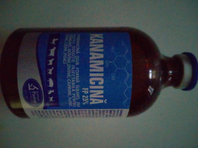 KANAMICINA FP 25% 100 ML INJ 63 RON - KANAMICINA FP 100 ML INJ -63 RON