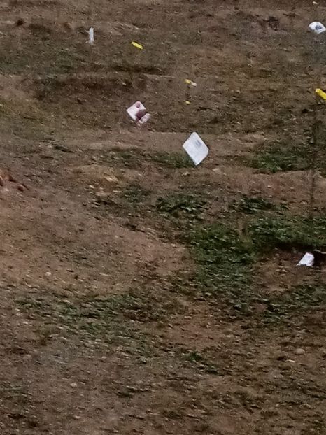  - 093 GRADINA NOIEMBRIE 2O21