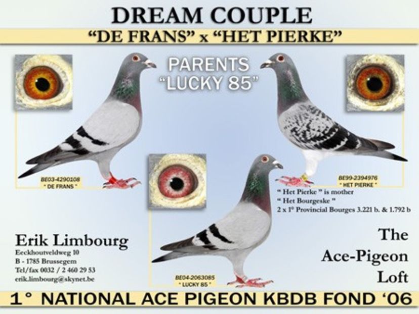 DE FRANS x HET PIERKE - DIKKE BLAUWE - NORBERT PEETERS the line Roger Barcelona 1 nat Barcelona 2006