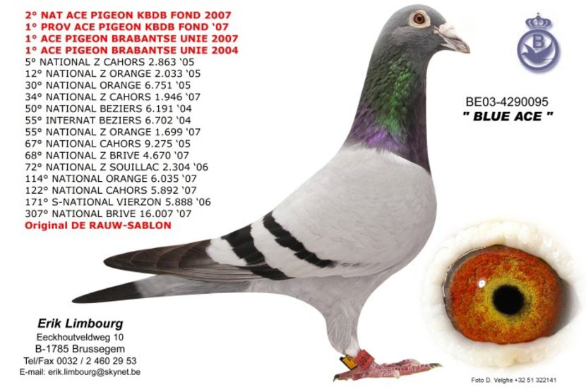 articol_p3 - DIKKE BLAUWE - NORBERT PEETERS the line Roger Barcelona 1 nat Barcelona 2006