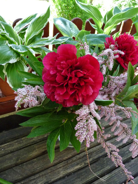 © - 01 - Floristica