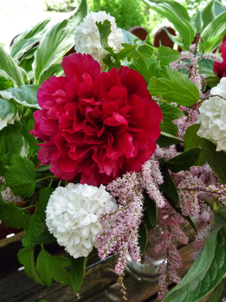 © - 01 - Floristica