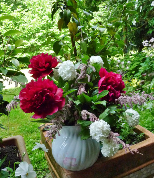 © - 01 - Floristica