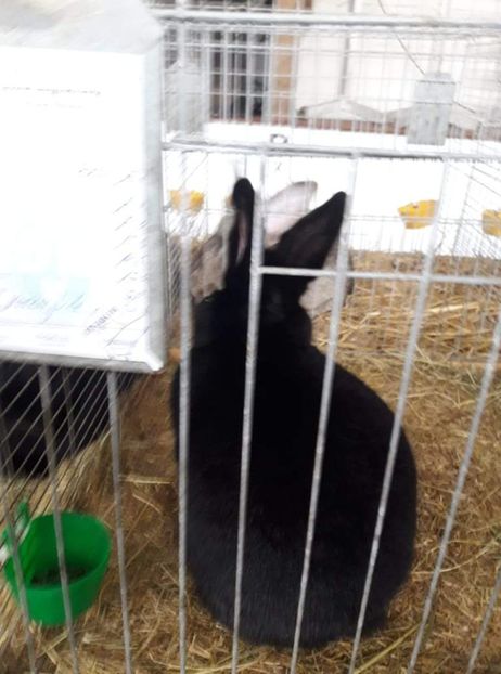 received_576085140160188 - 26883