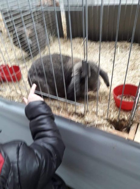 received_975748516313888 - 26883