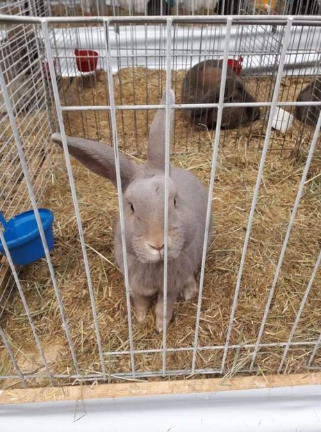 received_4800983756614496 - 26883