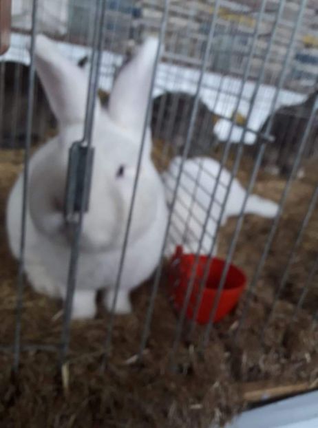 received_424674779223664 - 26883