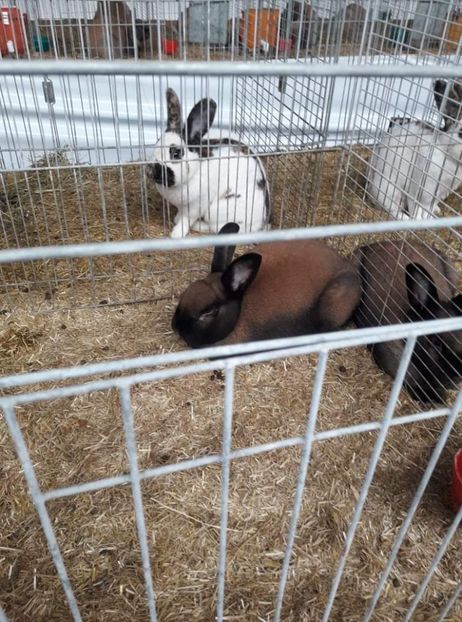 received_946279209653525 - 26883