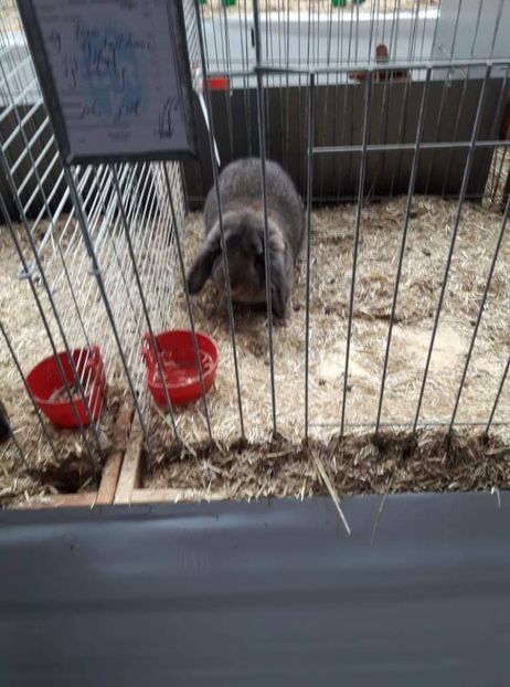 received_591264068786920 - 26883