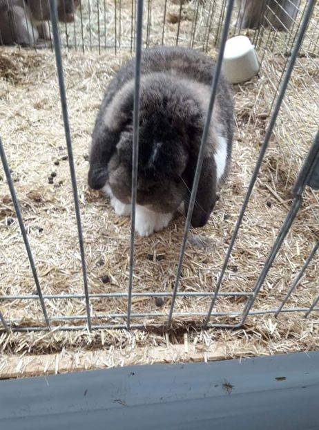 received_3232125227022741 - 26883