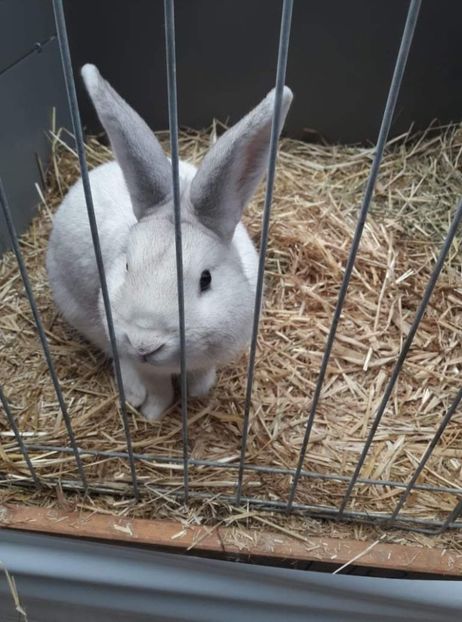 received_1962267487271316 - 26883