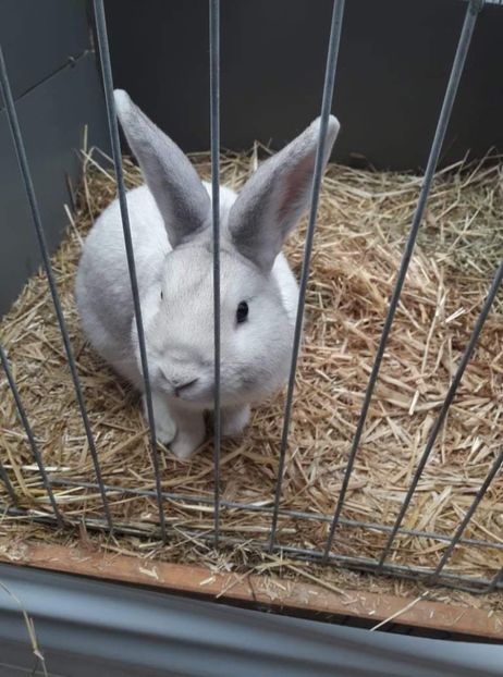 received_359871315932971 - 26883