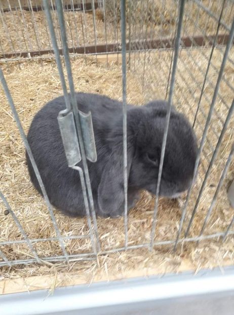 received_900859563888043 - 26883