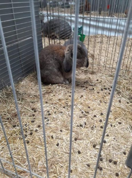 received_407973920797756 - 26883