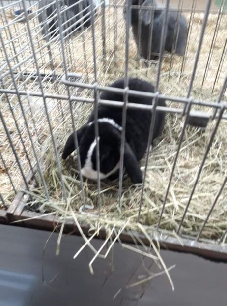 received_285135250285169 - 26883