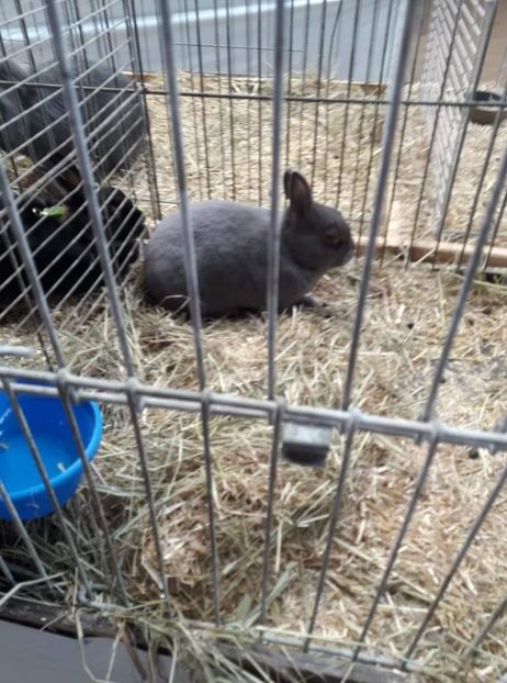 received_248634170634501 - 26883