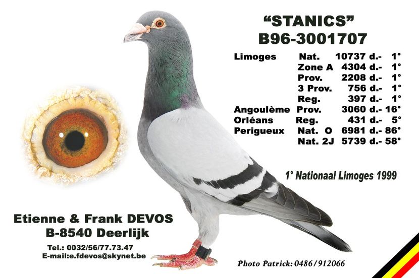 STANICS - STRĂBUNIC - BLAUWE DIDI - Etienne Devos nepot din WITPEN RIVALDO locul 1 AsDuif GROTE FOND KBDB 2012