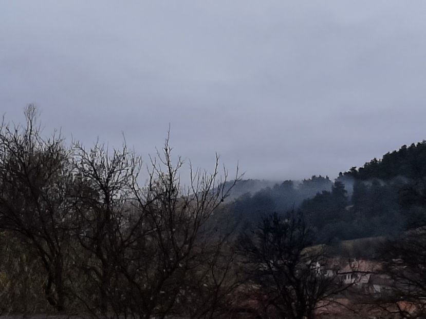  - Rășinari noiembrie 2021