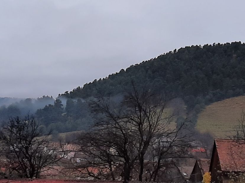  - Rășinari noiembrie 2021