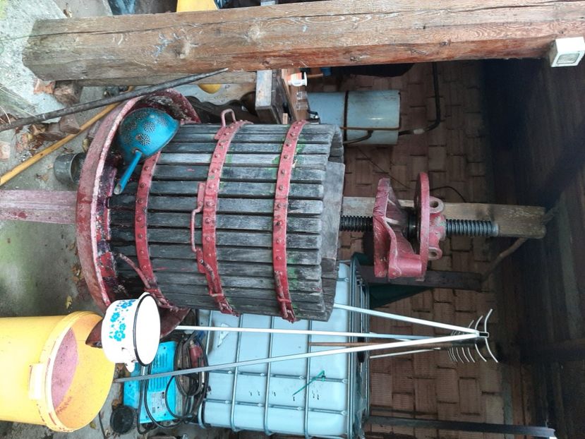  - Rășinari noiembrie 2021