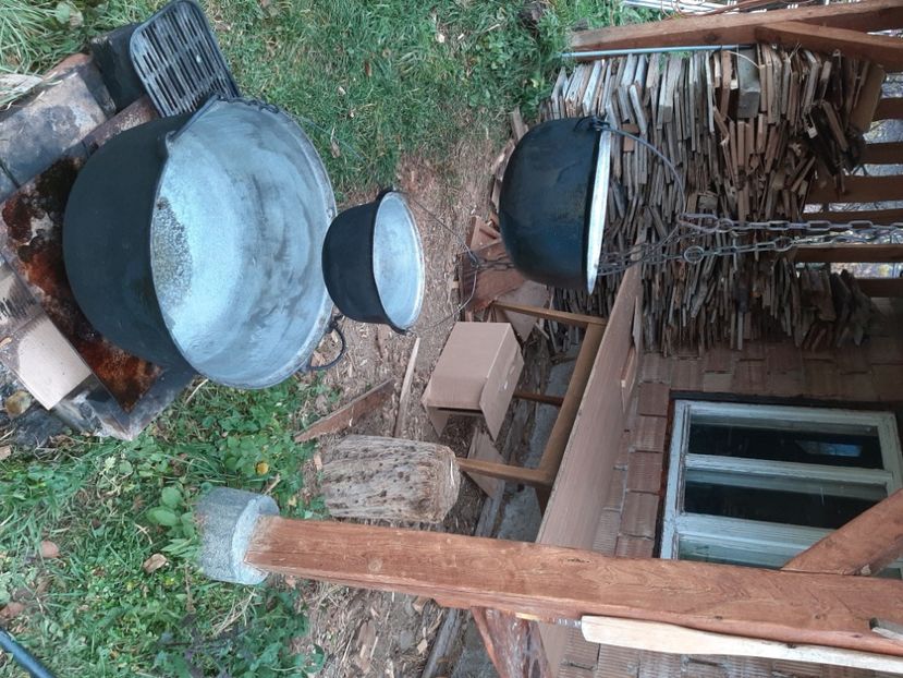  - Rășinari noiembrie 2021