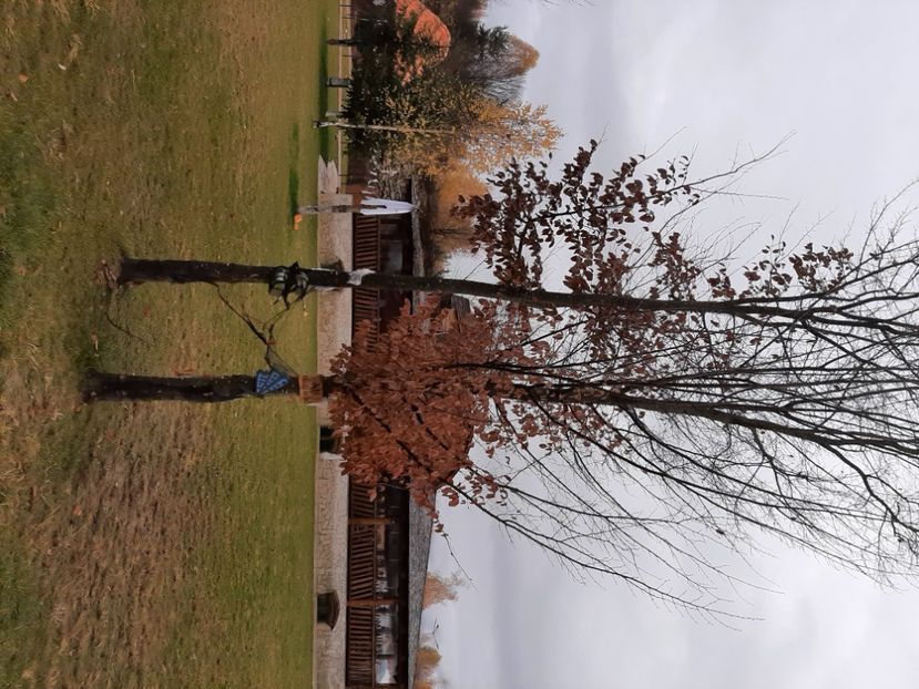  - Povestea calendarului și Castelul Zânelor din Porumbacul de Sus