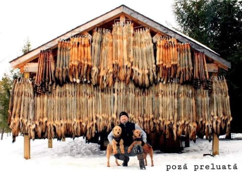  - O frumoasa si nobila pasiune