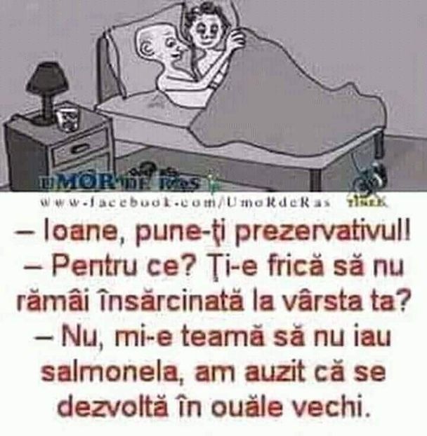  - Divertisment 5