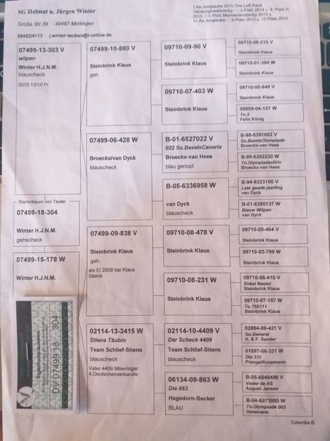 304ped - Achizitii porumbei -2021
