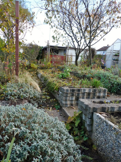  - 2021 - 03 - Toamna