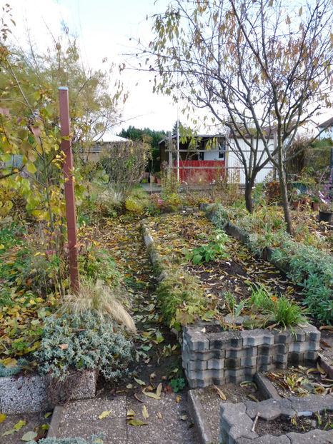  - 2021 - 03 - Toamna