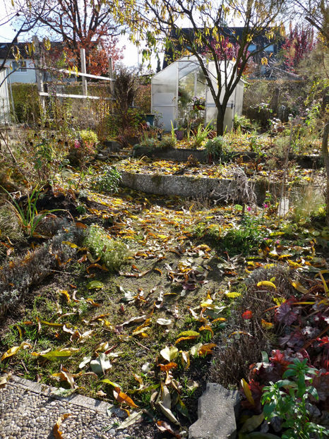  - 2021 - 03 - Toamna