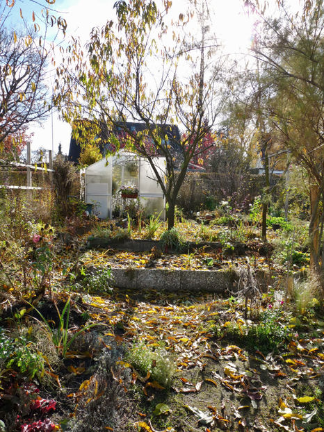  - 2021 - 03 - Toamna