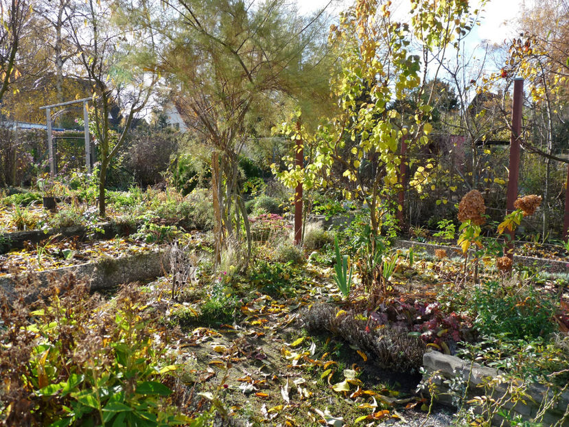  - 2021 - 03 - Toamna