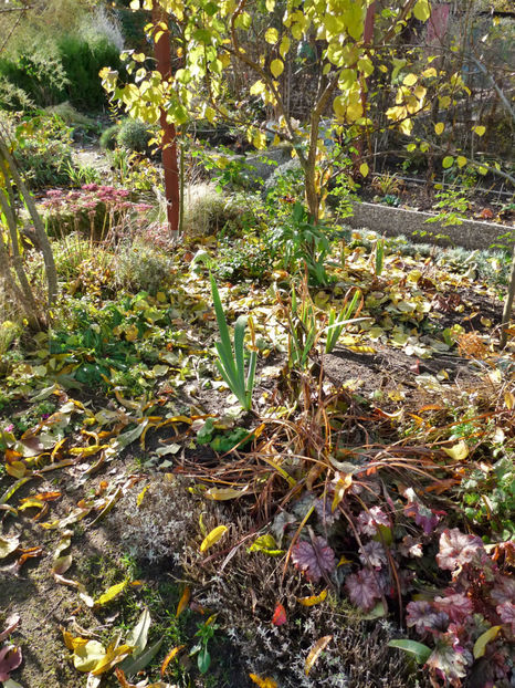  - 2021 - 03 - Toamna