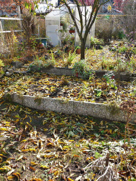  - 2021 - 03 - Toamna