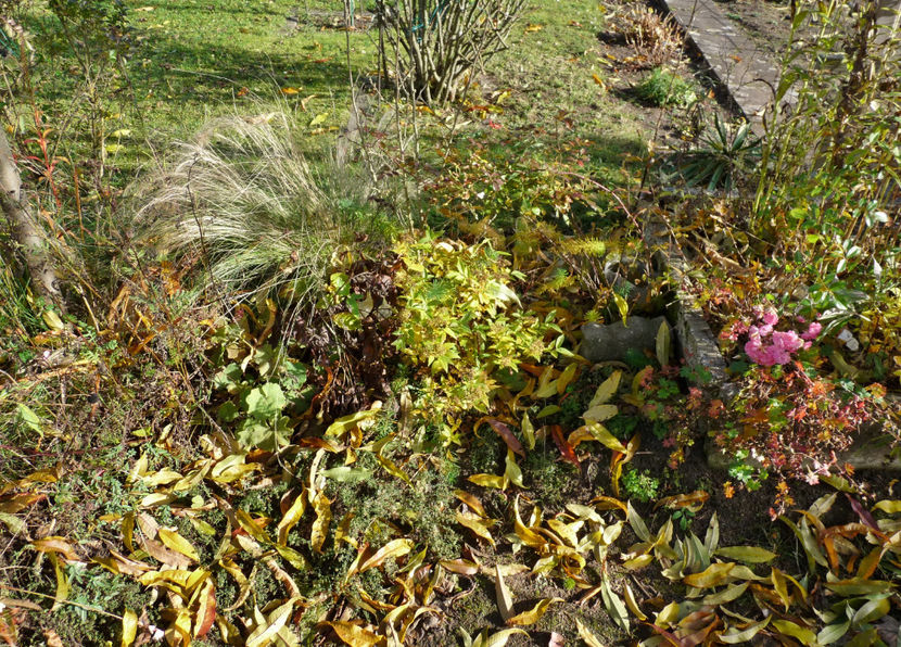  - 2021 - 03 - Toamna