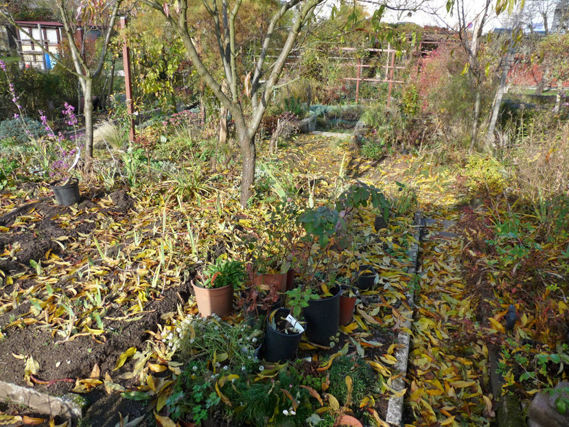  - 2021 - 03 - Toamna