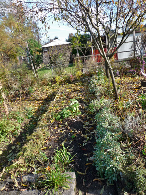  - 2021 - 03 - Toamna