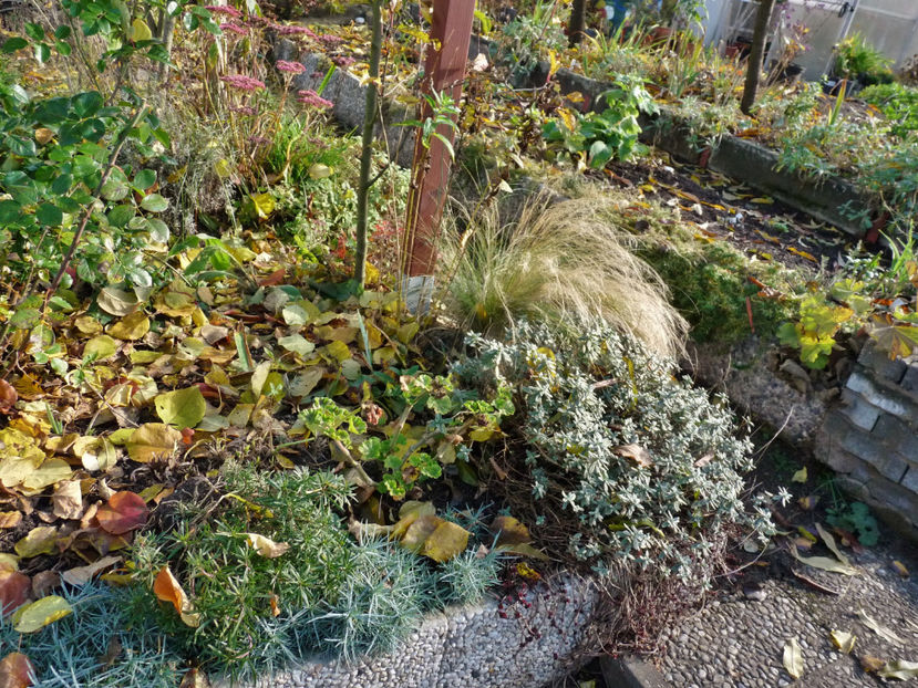  - 2021 - 03 - Toamna