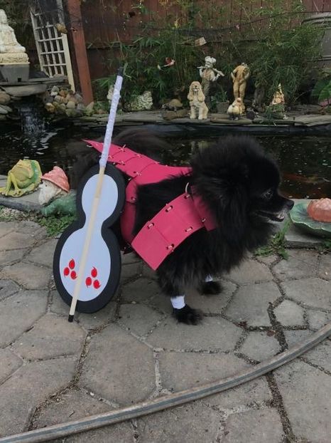 :”) - x what would mu sama say