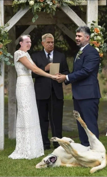  - Poze haioase pamflet