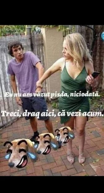  - Divertisment 5