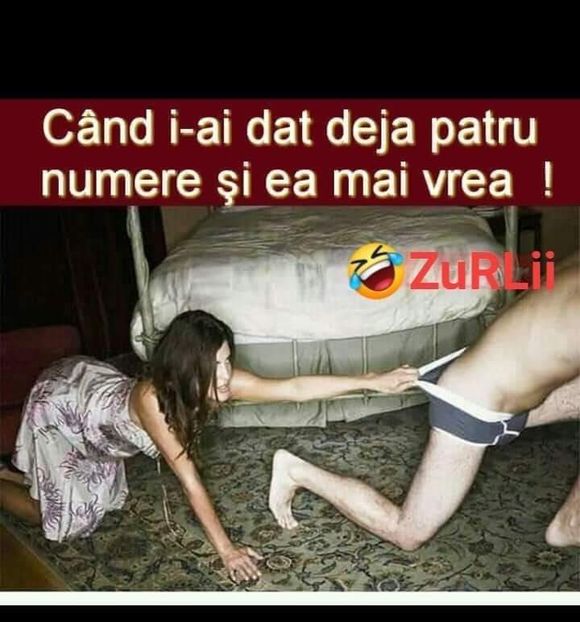  - Divertisment 5