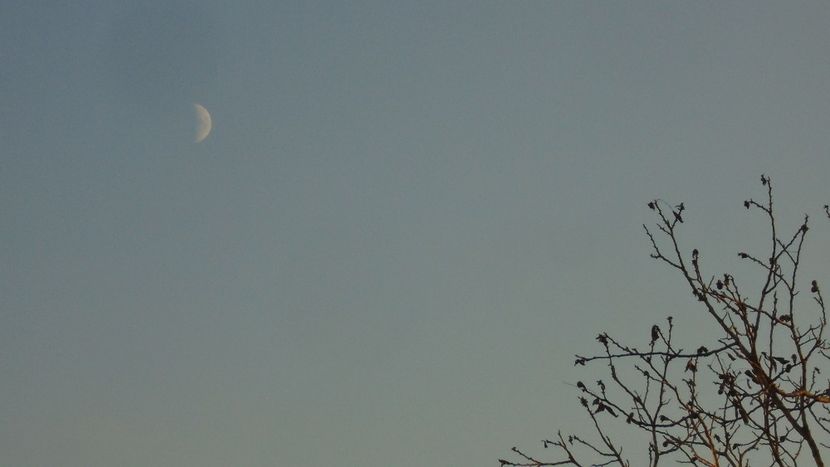 Luna in crestere in Varsator - Luna - Soarele si norii - 2