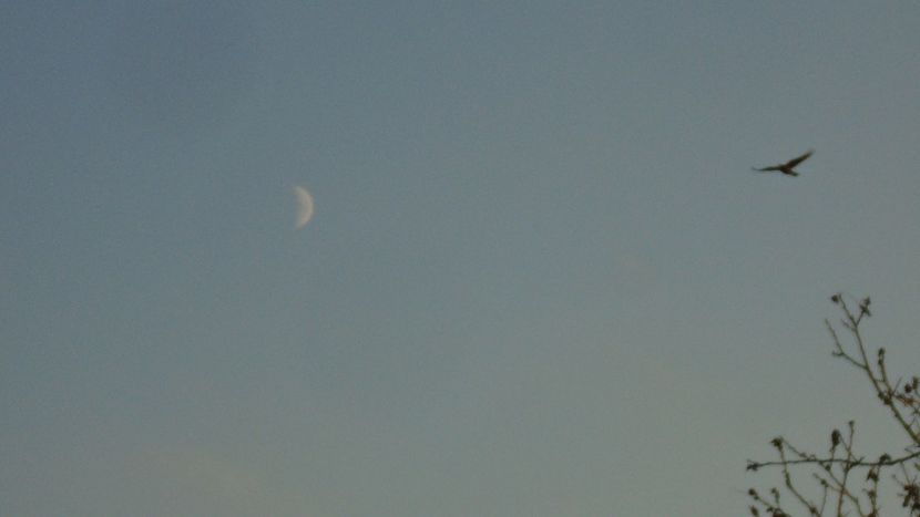 Luna in crestere in Varsator - Luna - Soarele si norii - 2
