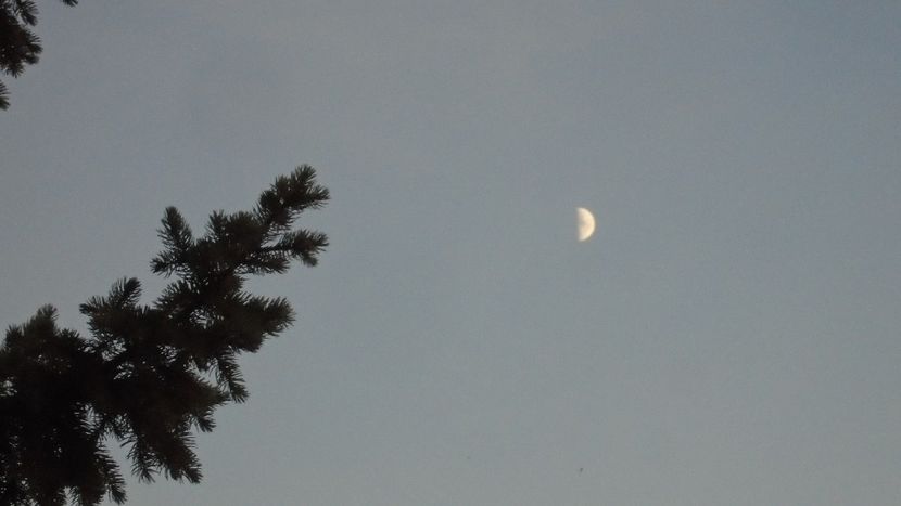 Primul patrar al Lunii in Varsator - Luna - Soarele si norii - 2