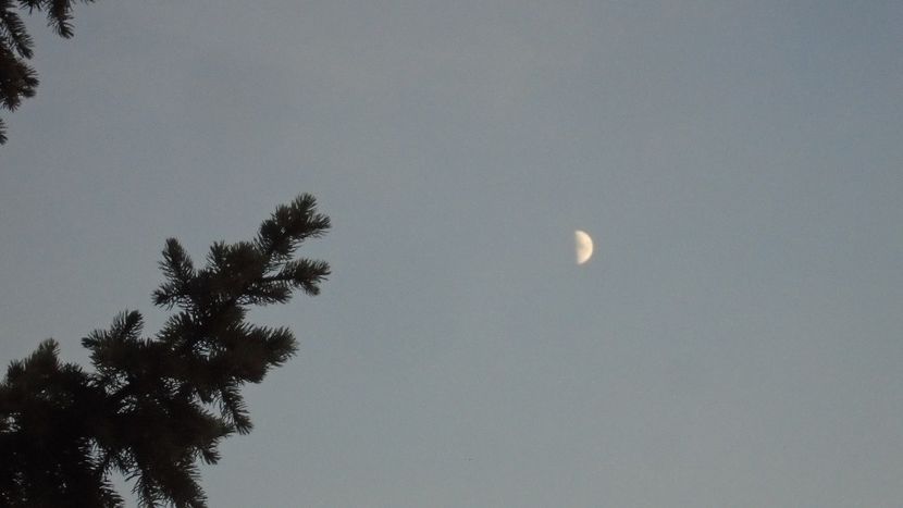 Primul patrar al Lunii in Varsator - Luna - Soarele si norii - 2