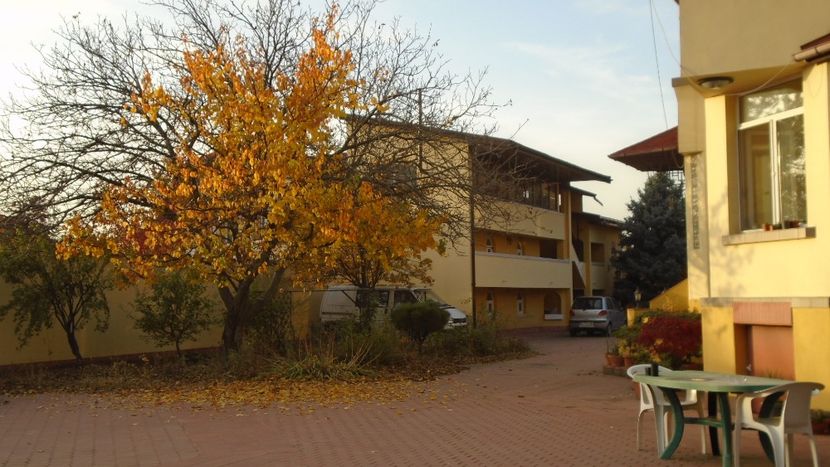 Forme si culori la mijlocul lunii noiembrie - Toamna 2020-2021-2022-2023